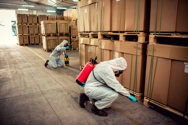 Best Wasp Removal Services  in Fairbury, IL