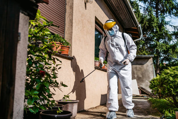 Best Termite Control Services  in Fairbury, IL