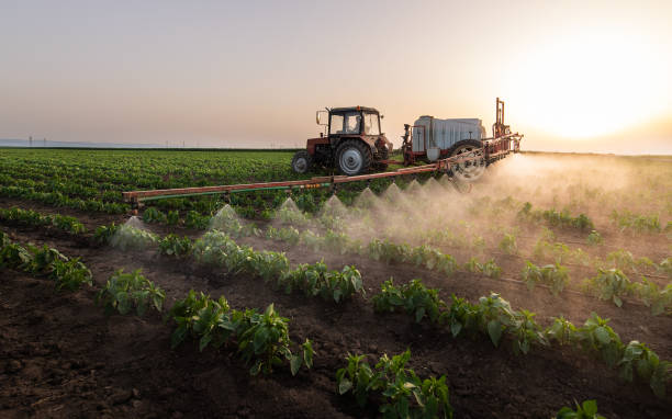 Best Pest Prevention Services  in Fairbury, IL