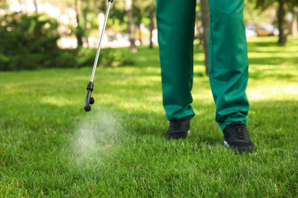 Best Emergency Pest Control  in Fairbury, IL