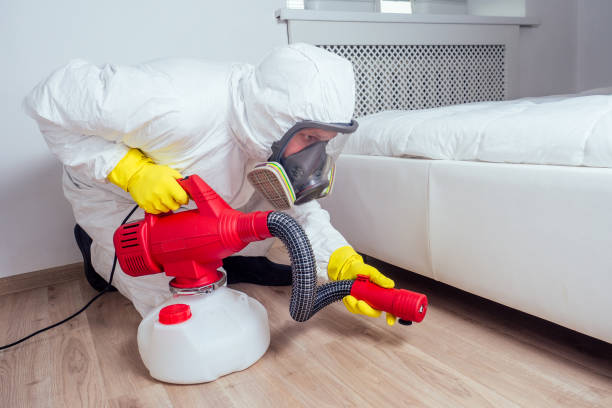 Best Ant Control Services  in Fairbury, IL