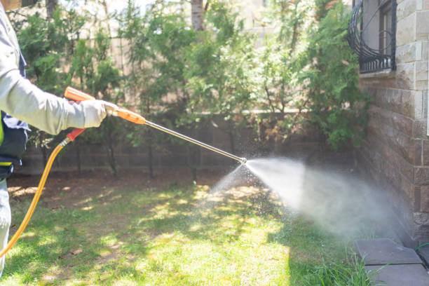 Best Pest Control Near Me  in Fairbury, IL