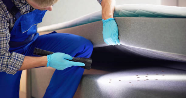 Best Affordable Exterminators  in Fairbury, IL