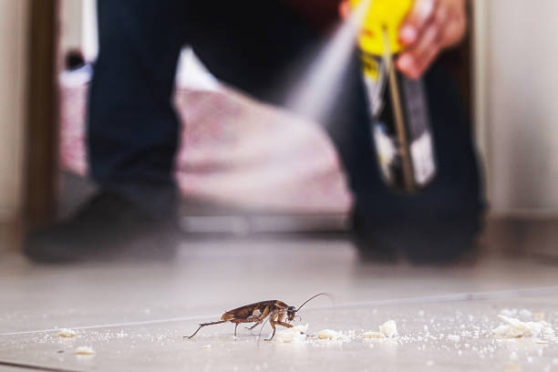 Best Affordable Pest Control Services  in Fairbury, IL
