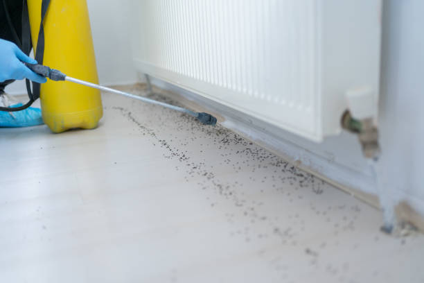 Best Affordable Pest Control Services  in Fairbury, IL