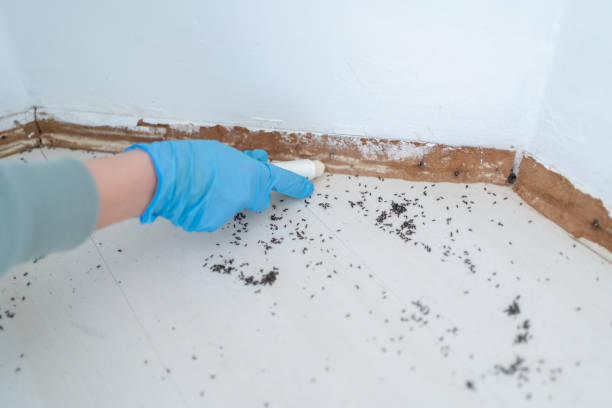 Pest Prevention Services in Fairbury, IL